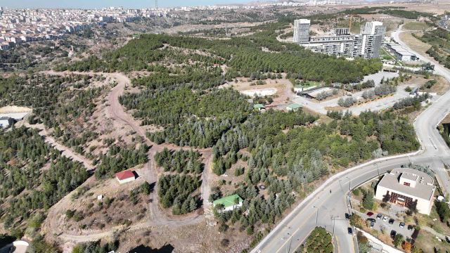 Başkent'ten haber | Hacıkadın Şehir Ormanı Ankaralılarla buluşuyor