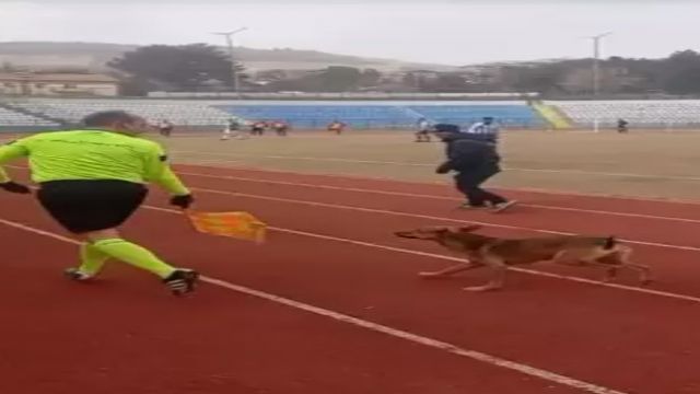 Beypazarı'nda oynanan maçta köpek sahaya girdi, hakem çıkardı!